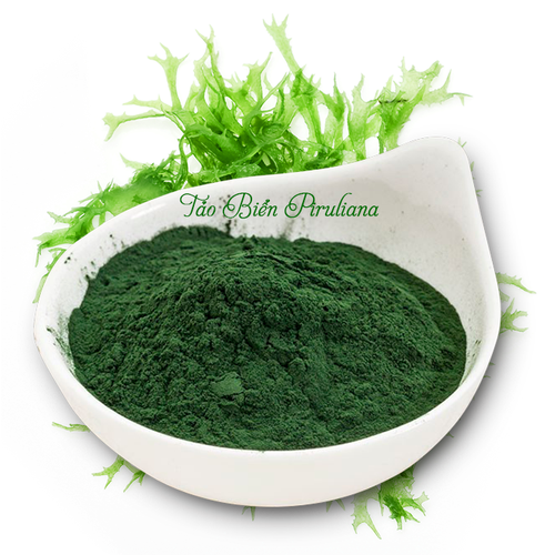 Bột tảo Spirulina hữu cơ 200g Sottolestelle