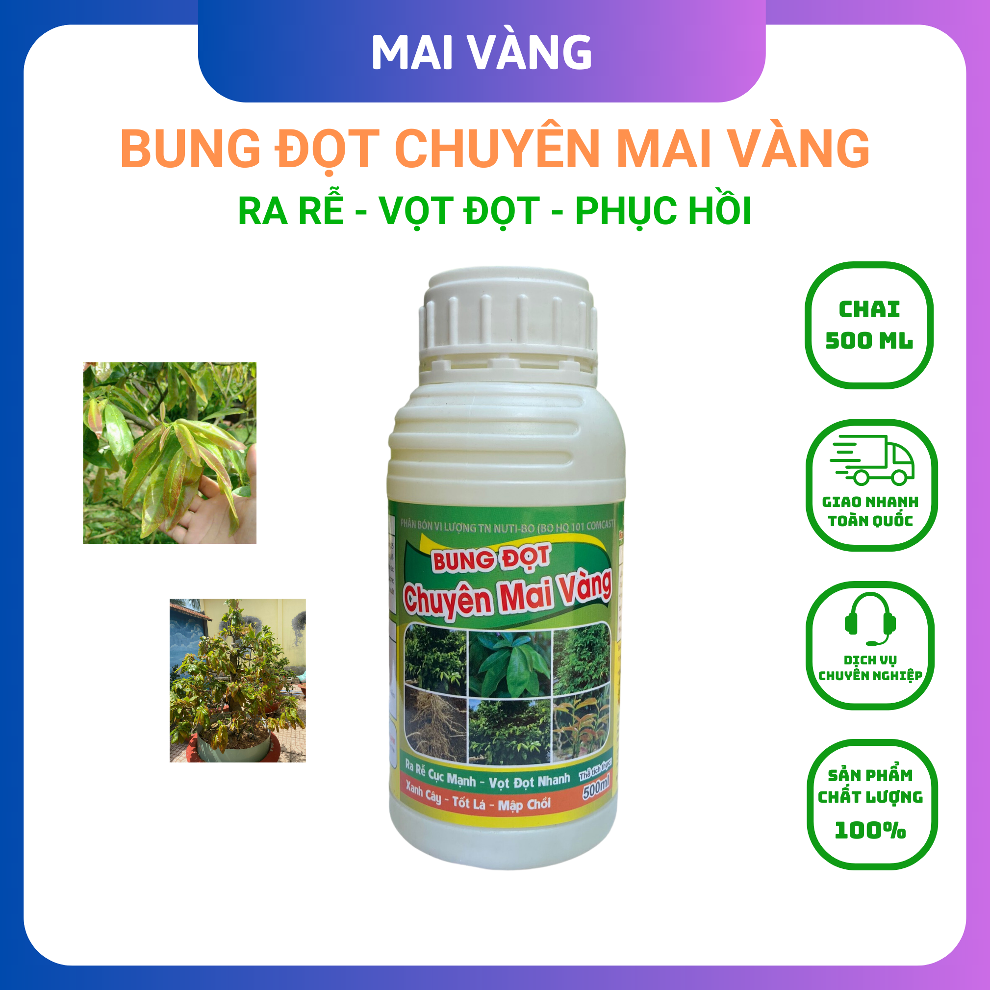 Phân bón mai vàng, siêu vọt đọt chai 500ml