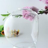 3 cái Hình Bán Nguyệt Treo Tường Bình Thủy Tinh Thủy Canh Terrarium Cá Vật Có Bình Hoa-quốc tế