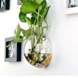 3 cái Hình Bán Nguyệt Treo Tường Bình Thủy Tinh Thủy Canh Terrarium Cá Vật Có Bình Hoa-quốc tế