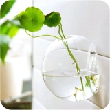 3 cái Hình Bán Nguyệt Treo Tường Bình Thủy Tinh Thủy Canh Terrarium Cá Vật Có Bình Hoa-quốc tế