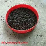 4 gói bả diệt ruồi, gián FLY KILER
