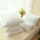 450g White Cotton Throw Hold Pillow Inner Pads Inserts Fillers Home Bed Sofa Cushion - intl