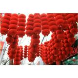 5 cái lồng đèn đỏ đường kính 16cm