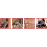 500g thuốc diệt chuột KILLRAT 0.005 BB
