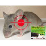 500g thuốc diệt chuột KILLRAT 0.005 BB