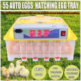 55 trứng Tự Động Ủ Khay Kỹ Thuật Số Ấp Trứng Gà Chỉnh Nhiệt Độ-quốc tế