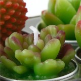 6Pcs Mini Candles Simulated Succulent Cactus Candles Smokeless Candles Tea Candles for Wedding Valentine