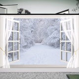 7x5ft Tuyết Mùa Đông Cửa Sổ Vincy Studio Chụp Ảnh Phông Nền Chụp Ảnh Nền