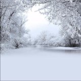8x8Ft Cold Winter Snow Tree Studio Photography Background Backdrops Props Vinyl