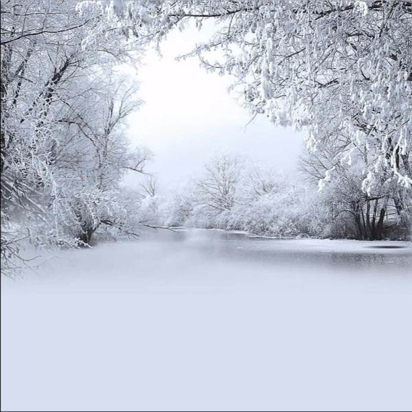8x8Ft Cold Winter Snow Tree Studio Photography Background Backdrops Props Vinyl - intl