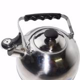 [HCM]Ấm đun nước Rainy 3.2L (Inox Bạc)