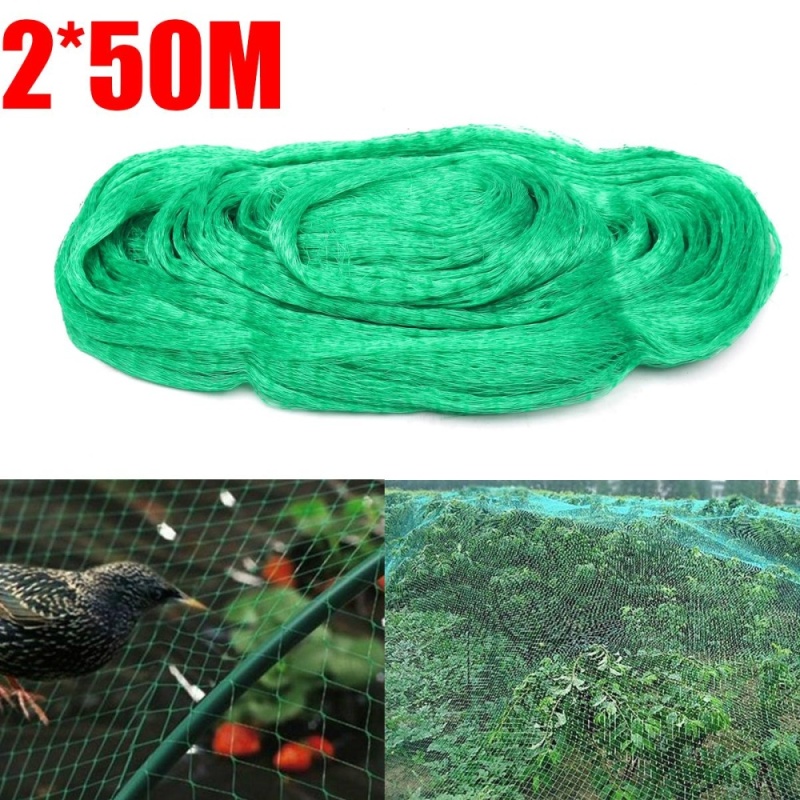 Anti Bird Netting 2x50m Allotment Crop Plant Protection Net 15mm Diamond Mesh Green - intl