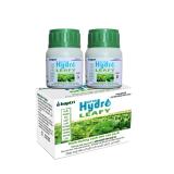 hydro leafy
