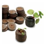 [HCM]Bộ 05 Thùng Trồng Thủy Canh Rau Ăn Lá