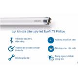 Bộ 10 Bóng đèn LED Tube EcoFit Philips 16W 1M2 +Tặng kèm 10 máng đèn 1m2 Speiner (Trắng, Vàng)