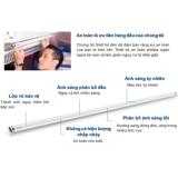 Bộ 10 Bóng đèn LED Tube EcoFit Philips 16W 1M2 +Tặng kèm 10 máng đèn 1m2 Speiner (Trắng, Vàng)