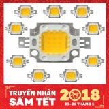 Bộ 10 Chip LED đèn pha LED - COB 50W - WW (ánh sáng vàng)