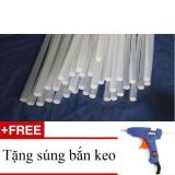 Bộ 10 Keo Cây Silicon - Keo nến (Trắng) + Tặng Súng bắn keo silicon