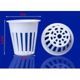 Bộ 150 rọ trồng rau thủy canh M6