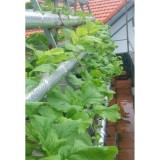 Bộ 150 rọ trồng rau thủy canh M6