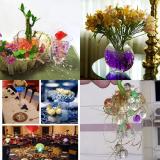 Bộ 16 Gói Hạt Tinh Thể Trồng Cây Trang Trí Không Cần Đất