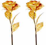 Bộ 2 hoa hồng mạ vàng 24k (Vàng)