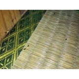 Bộ 2 hộp diệt kiến nhập từ Nhật Bản