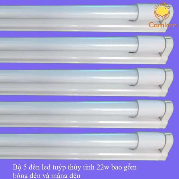 Bộ 5 Bóng đèn led Tuýp thủy tinh 22W 1,2m + 5 Máng đèn led tuýp 1.2m