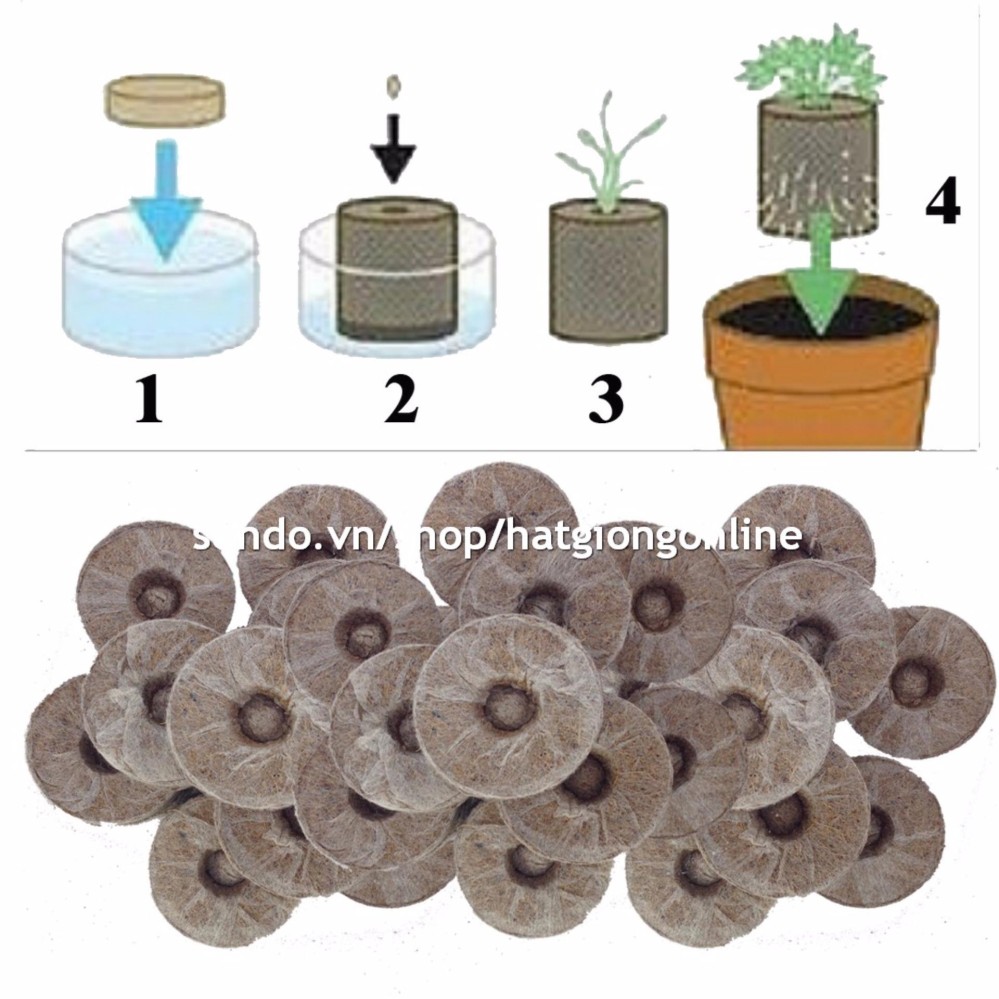 Bộ 50 viên nén ươm hạt (viên nén xơ dừa)