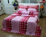 Bộ chăn ra gối bọc chằn gòn Cotton Jamion KCT210D 160x200 (Đỏ)