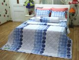 Bộ chăn ra gối bọc chằn gòn Cotton Jamion KCT210X 160x200 (Xanh)