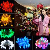Bộ Dây đèn Led trang Cherry Ball dài 5m mét