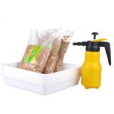 Bộ kít trồng cỏ lúa mì
