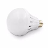 Bóng đèn LED tích điện thông minh 12W (Trắng)