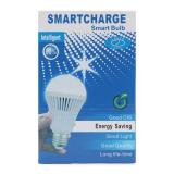 Bóng đèn Led tích điện thông minh Smartcharge 12W sáng trắng