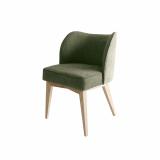 [C Collection] - Chi Chair Green