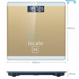 Cân Điện Tử Màn hình LCD ISCALE S