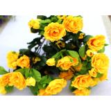 Cành hoa lụa Đỗ quyên màu vàng 12 bông