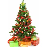 Christmas Tree (Height 150cm)