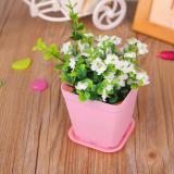 Chậu Nhựa Trồng Cây Vuông 8x7cm RainStore - Hồng