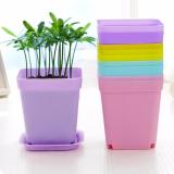 Chậu nhựa trồng cây vuông 8x7cm rainstore - tím