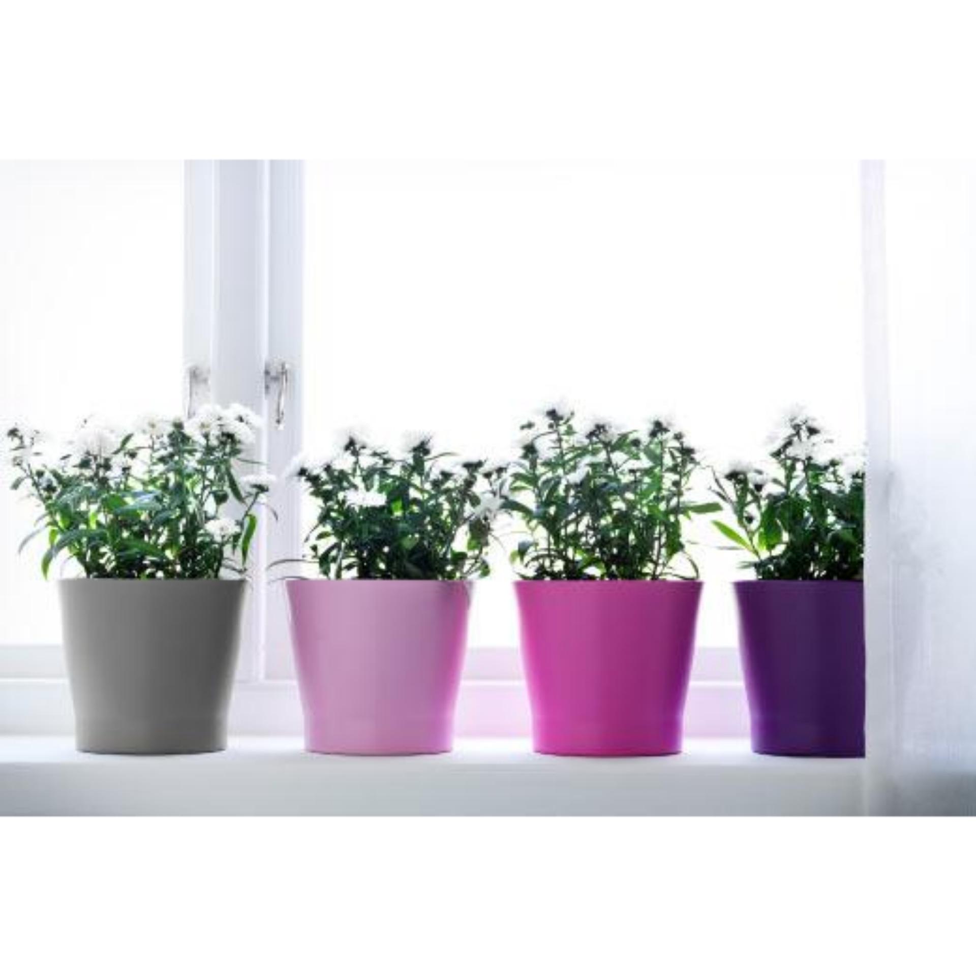 Chậu tròn dáng đứng itali 14,5cm