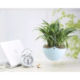 [HCM]Chậu Trông Cây Có Móc Treo RainStore - Vàng