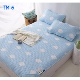 Chiếu điều hòa cao cấp Tencel 1.8x2m tặng kèm 2 vỏ gối - hàng nhập khẩu