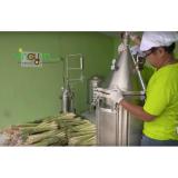 Combo 03 lọ Tinh dầu (Quế + sả chanh + hương trầm)  nguyên chất 10ml