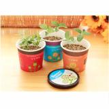Combo 2 Hạt giống cây trồng để bàn Chodeal24h ( Bạc Hà_Mozzie Buster)
