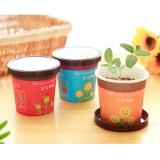 [HCM]Combo 2 Hạt giống cây trồng để bàn Chodeal24h (Hoa Cúc_Bạc Hà)