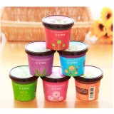 Combo 2 Hạt giống cây trồng để bàn Chodeal24h