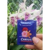 Combo 2 Thuốc Chrysal dưỡng hoa lâu tàn